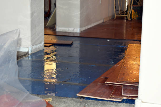 Professional Sewage Cleanup technician working in Sycamore, IL